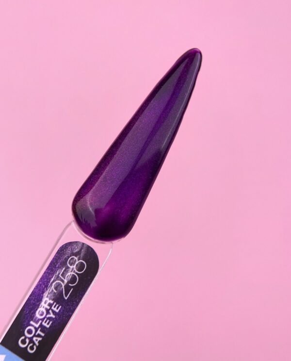 Luna moon color N258 13ml